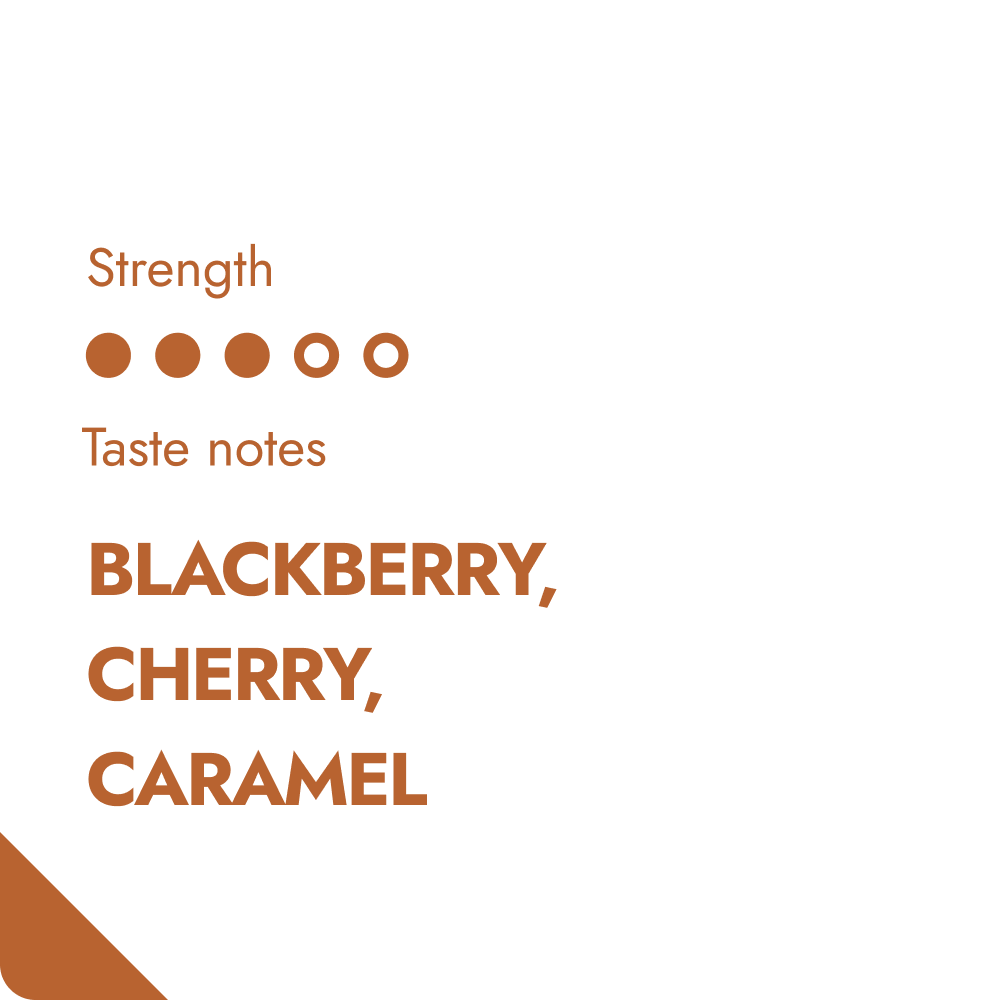 Röstfrische Kaffee Bohnen aus Kenia Detailansicht