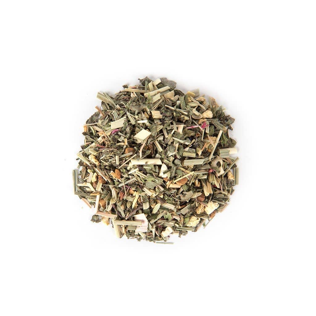 Cool Mint Teabrewer-4