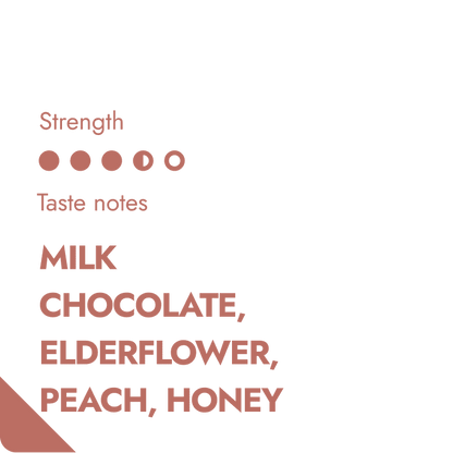 GUATEMALA COFFEEBREWER-1