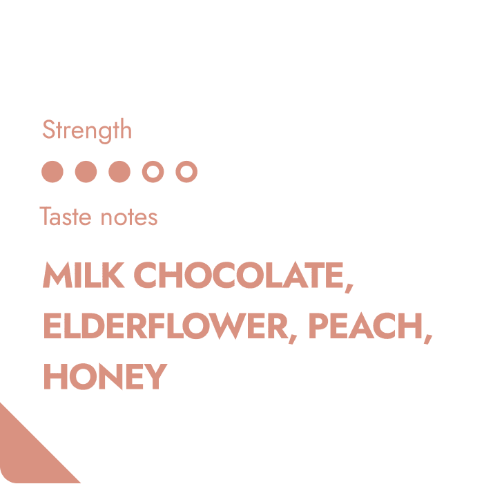 Kaffee für unterwegs ohne Maschine - BrewBlend Coffeebrewer in Aktion